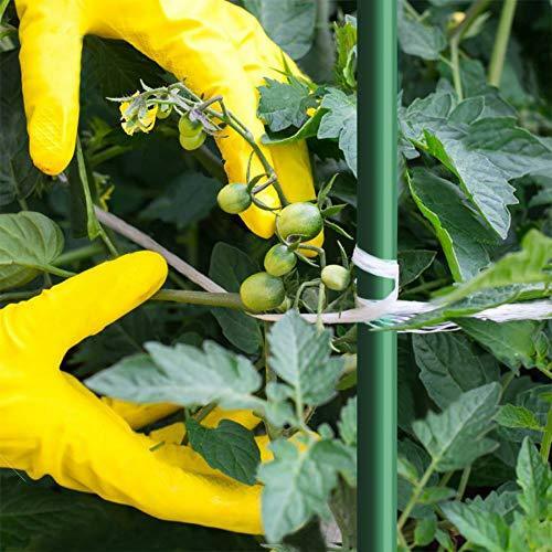 Fiberglass tomato stakes